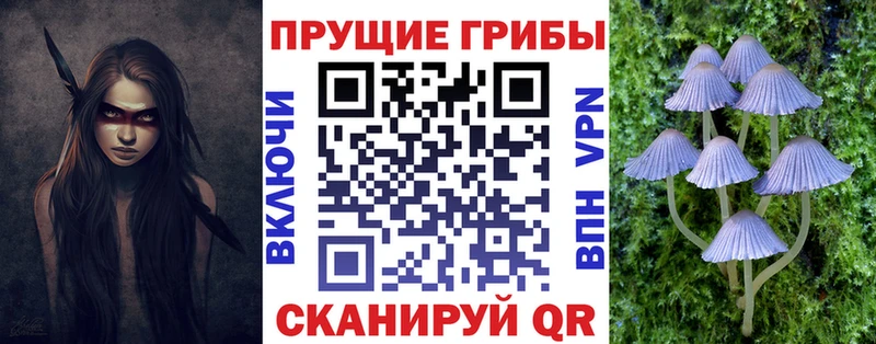 Псилоцибиновые грибы мицелий  купить   Иваново 
