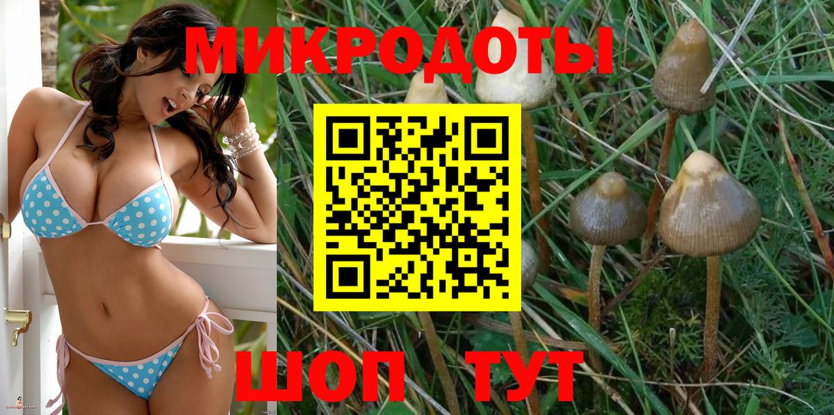 Галлюциногенные грибы мухоморы  Вход с VPN  купить наркоту  Иваново  Псилоцибиновые грибы Cubensis 