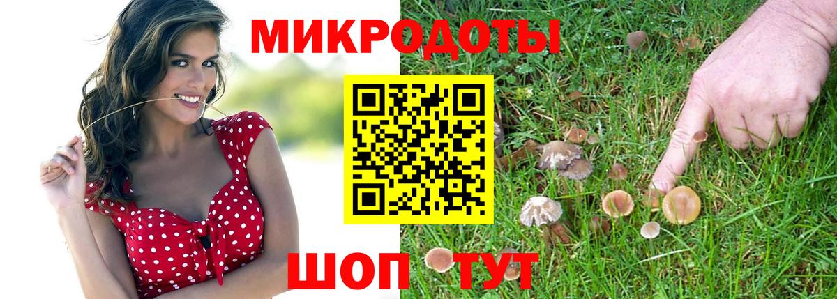 Псилоцибиновые грибы GOLDEN TEACHER Иваново